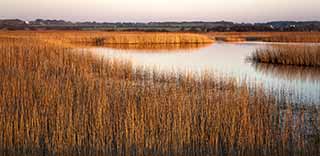 Situé en plein cœur de la baie d’Audierne, sur les communes de Tréguennec et de Tréogat, l’étang de Trunvel est formé d’un plan d’eau de 50 hectares environ, entouré de roselières. Il s’agit d’une véritable lagune naturelle, séparée de la mer par un cordon de dunes et de galets.