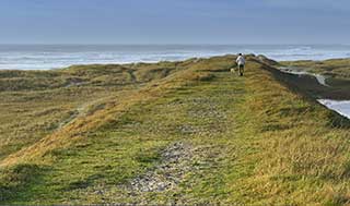 Promenade de fin de journée