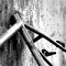 Arnaud Poilleux photographies