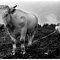 photographies de bruno brismontier, photographe normand