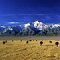 nature and landscape photos, African wildlife photos