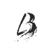 louis bourdon photographe - images en noir et blanc